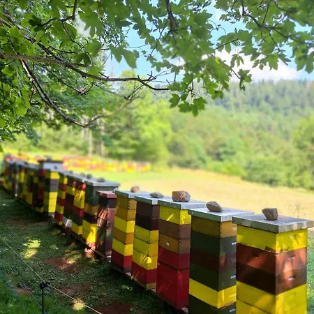 Barbara Apartman Fužine